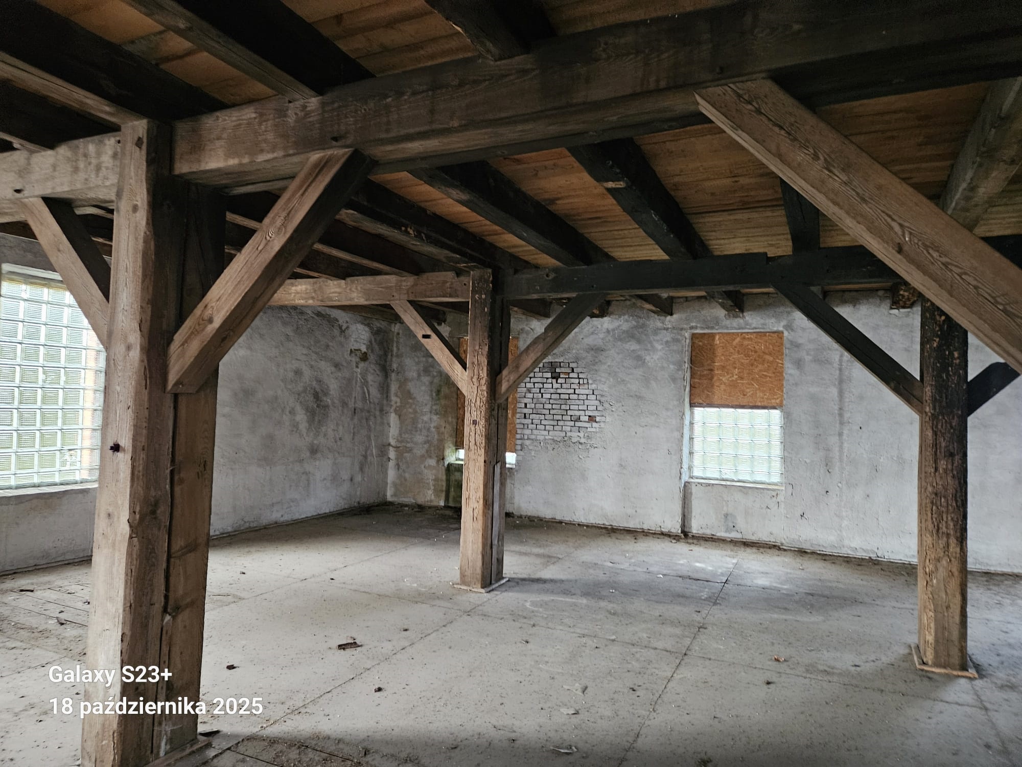 DZIAŁKA ZE STARYM MŁYNEM W DOBRÓWKO — miniatura 9