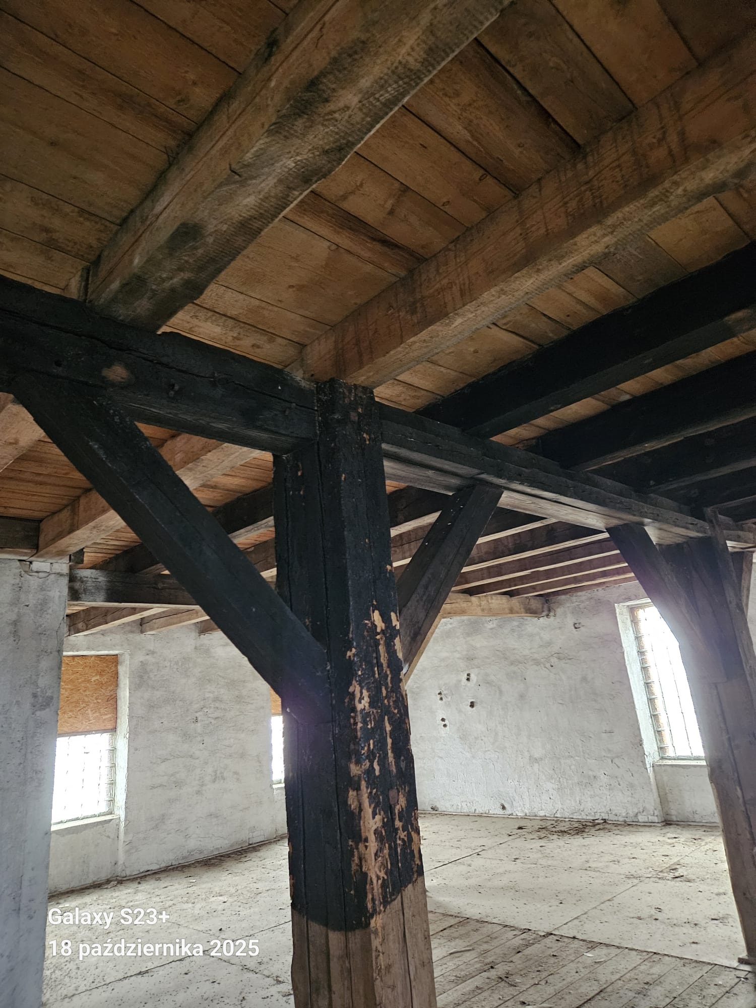 DZIAŁKA ZE STARYM MŁYNEM W DOBRÓWKO — miniatura 11