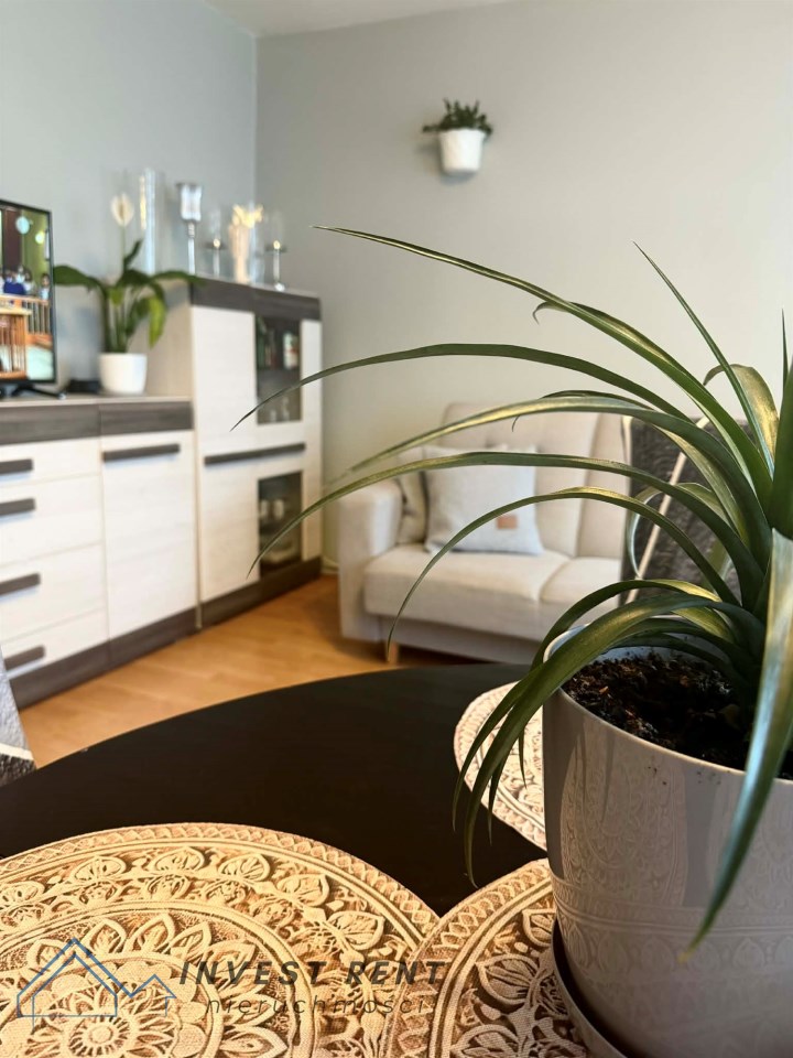 Mieszkanie — Trzebiatów 300m² — miniatura 1