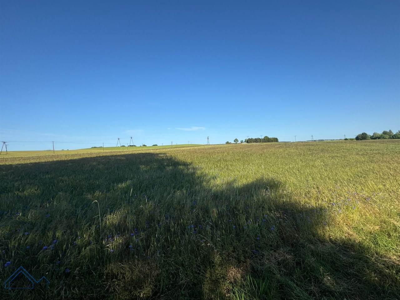 Wyjątkowe siedlisko o pow. 2,98ha - Nowogardek — miniatura 3