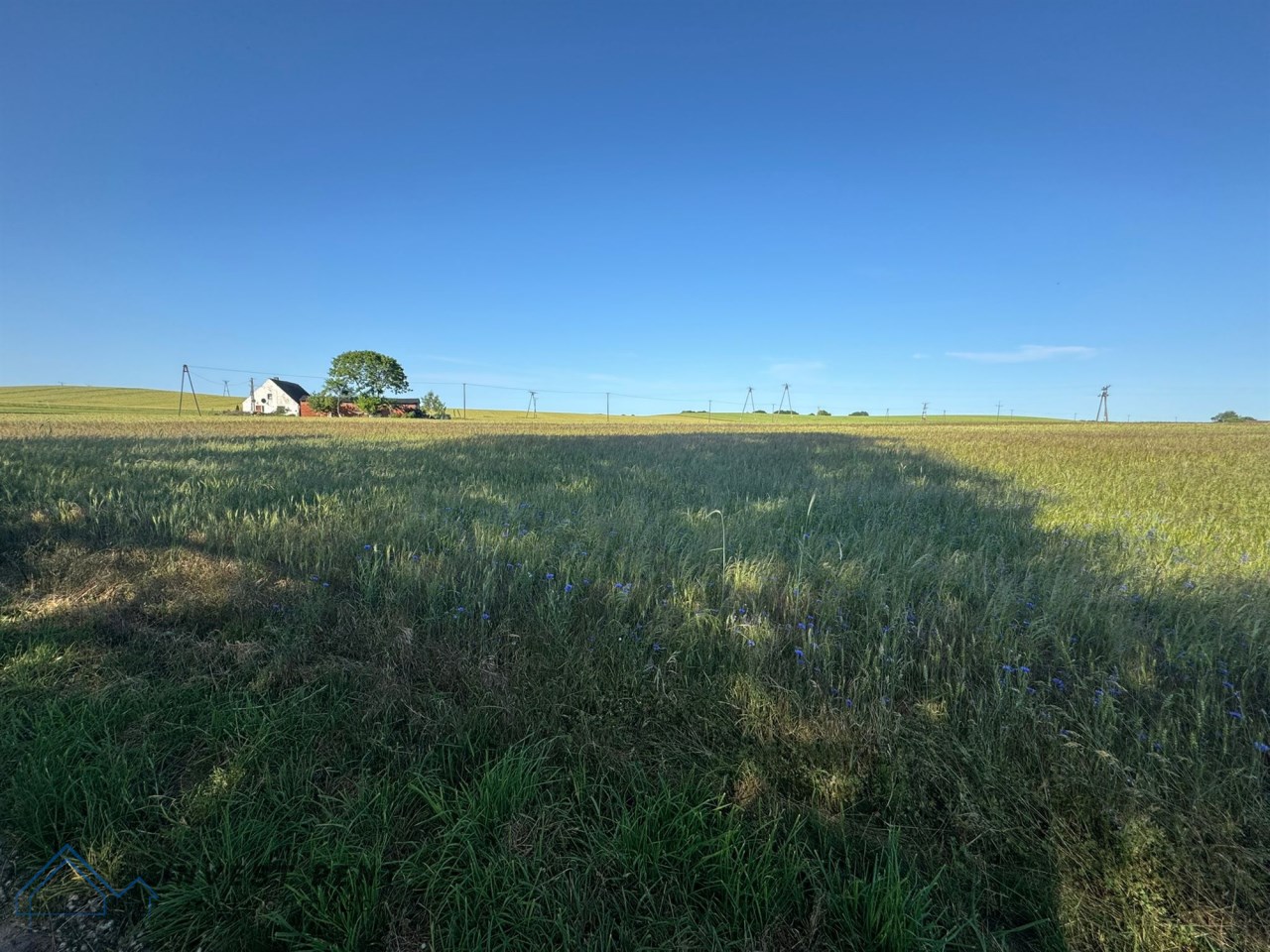 Wyjątkowe siedlisko o pow. 2,98ha - Nowogardek — miniatura 7